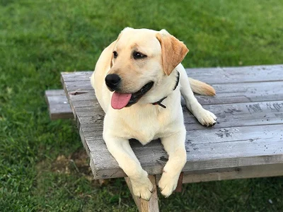 Meet The Team Image 22